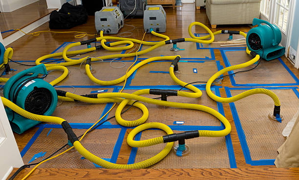 Professional Water Damage Repair technician working in Fayetteville, AR
